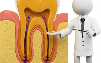 Dental Pulp & Its Injuries Part 1