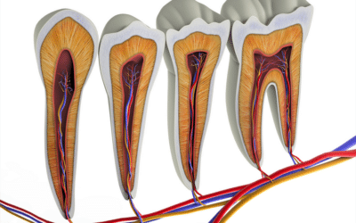 Dental Pulp & Its Injuries Part 2